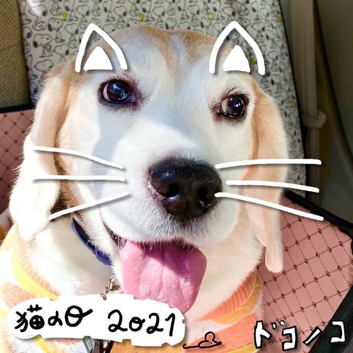 B42e084f 536d 4658 954f be3aea816173 1613967518478