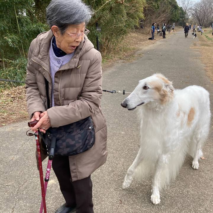 B42e0afb cfb9 4813 9363 e64d13c9e797 1740887588971