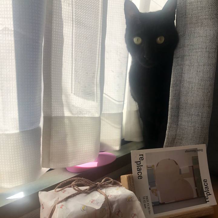 B42e6970 a416 4592 8e0a e35b648f7eda 1636593546853