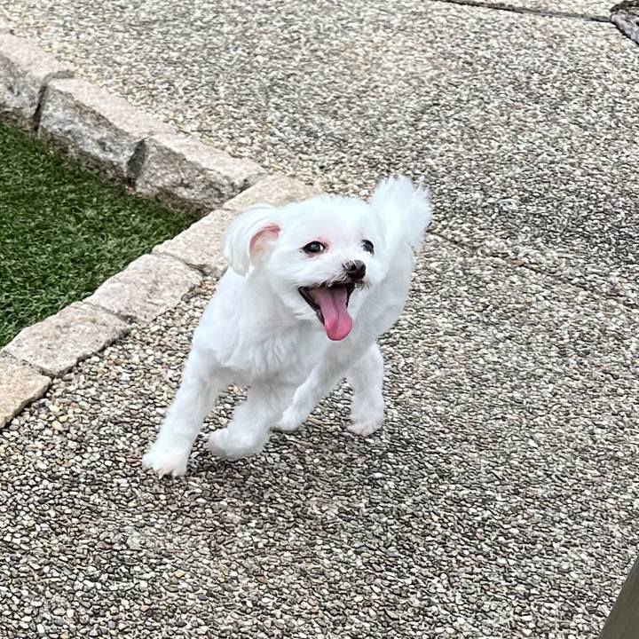 B42e69d7 1426 4c7d aa64 0dc6c8055d09 1720582317160