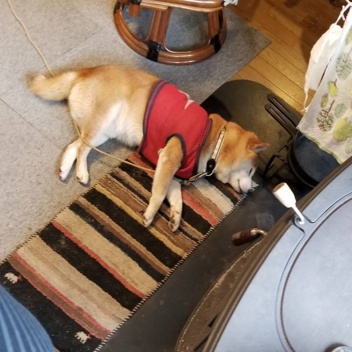 B42e8a86 9047 4dec aaec 8c4f971a3f50 1608333884198