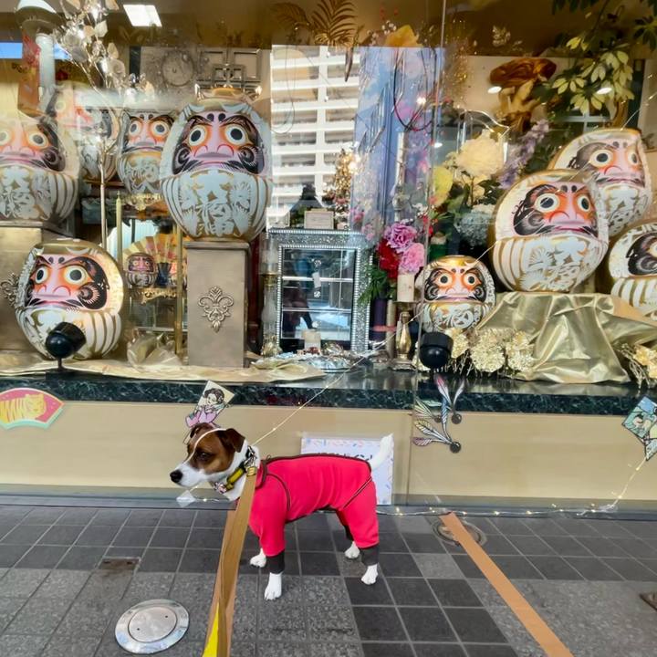 B42e9176 8a17 4419 8617 0c8d8d9c2777 1643612879417