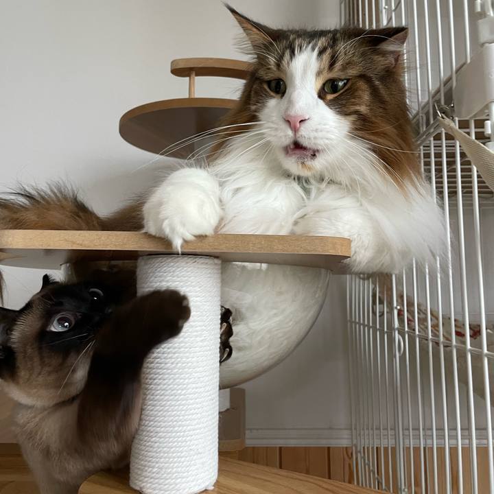 B42ea8d8 35c4 4e2d 8cb6 a493b59349de 1744233727681