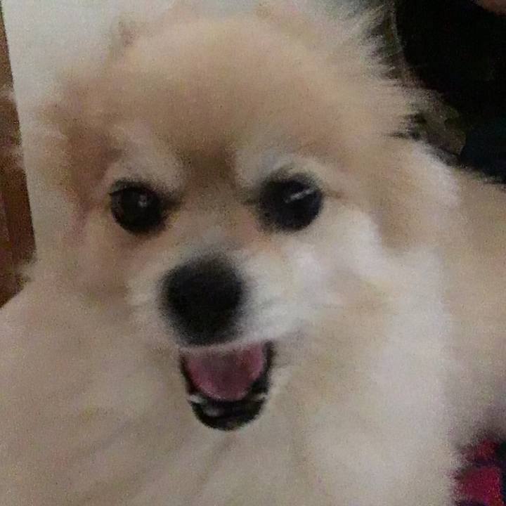 B42eb466 4be3 4f85 8bfe a3205dd2b917 1536271049965