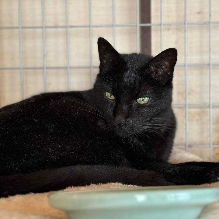 B42eba1e c2bd 46c5 bfa2 9edf5287f9d3 1676683885416