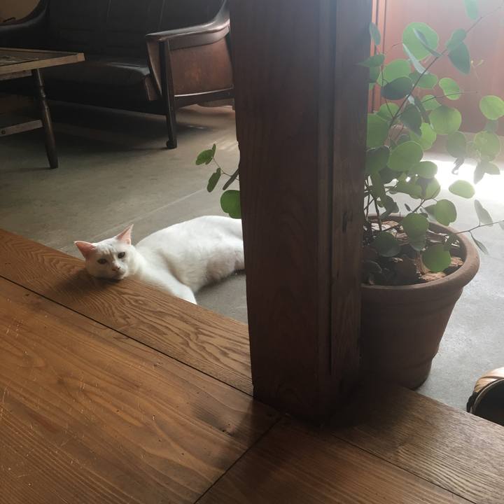 B42f1bc5 ccdf 4186 8d34 1eefe323f280 1566085845062