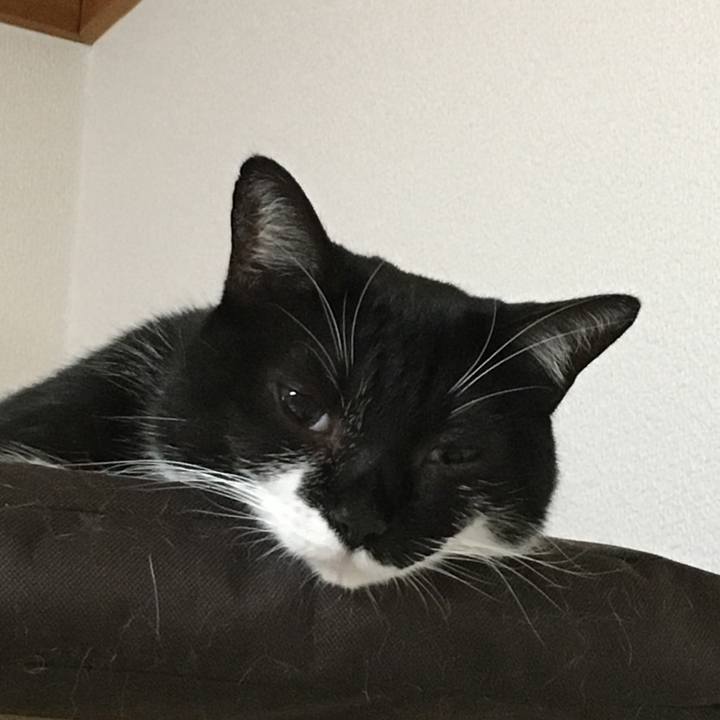 B42f6f9d a204 48cd 8857 8dbedfc216c2 1507798446346