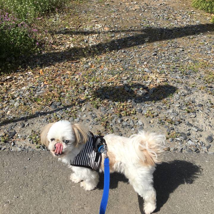 B42fb54c 3ab9 4758 9701 1cd737003f5e 1615962213796