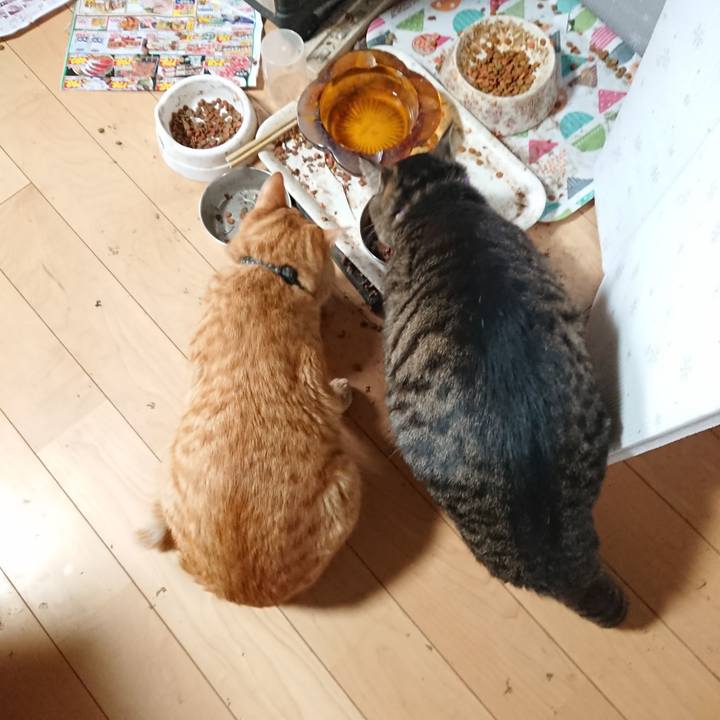 B4300fb0 e3a1 4f3b b229 5101c0dbc59e 1650524309029