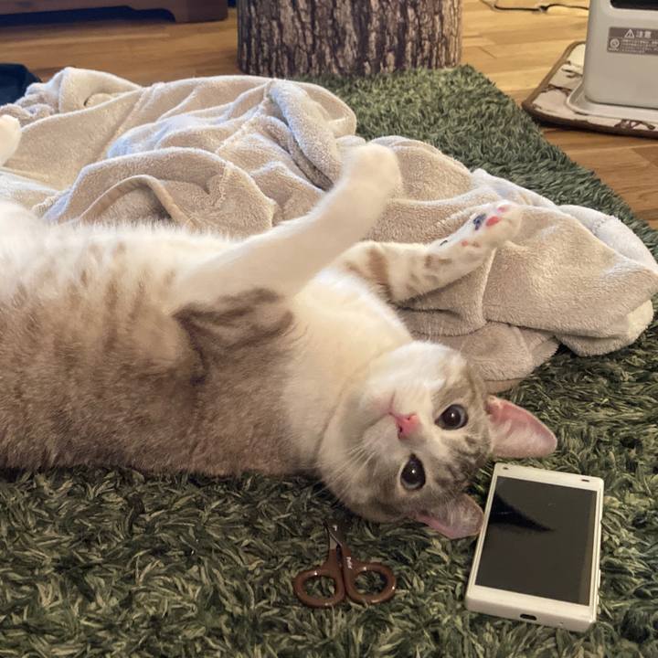 B43018fb f2bf 4960 a3d3 6ce14267fab9 1615975495331