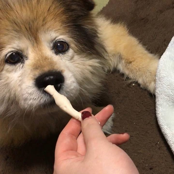 B43031e3 1249 473e 8778 e69175a226b8 1569345920456