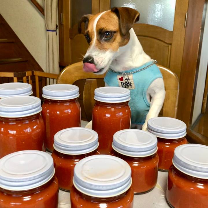 B4303caa 9909 4827 8492 41dd1fde1660 1565424576654