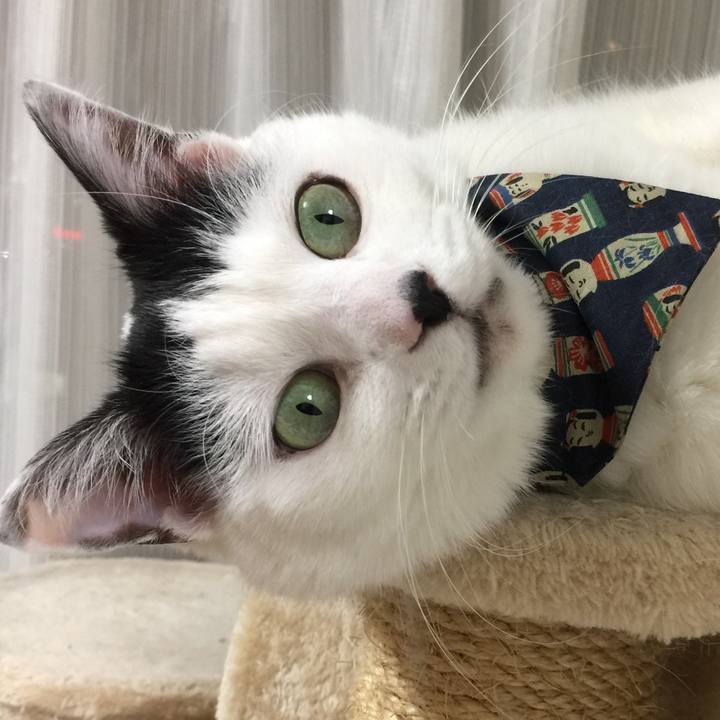 B43041b8 5e6c 43a5 8719 bfd6caf0d657 1514019296110