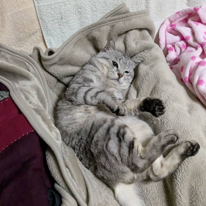 B4304ceb bfb4 45d8 99e2 23cc03fd14fa 1740954798119