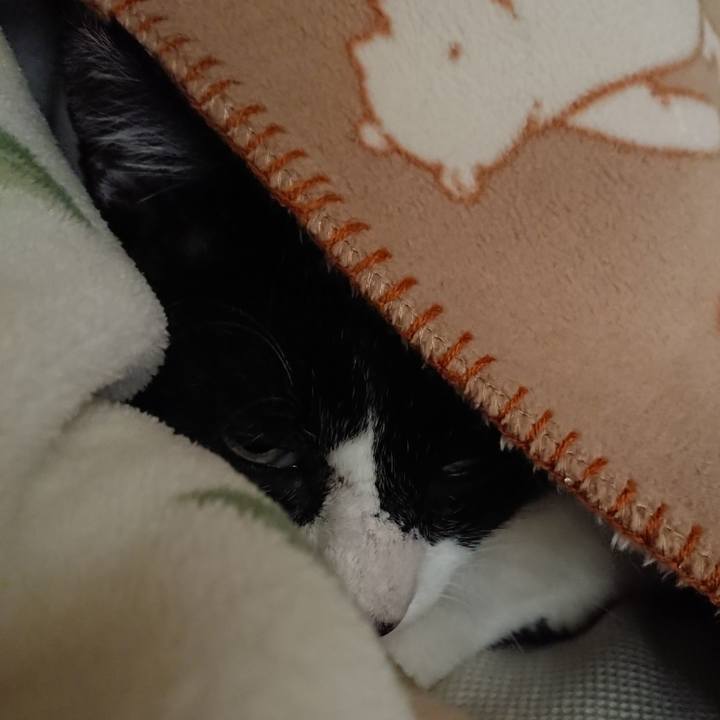 B43071eb de4b 45a5 ba8b 8eae32d988ab 1527985473081