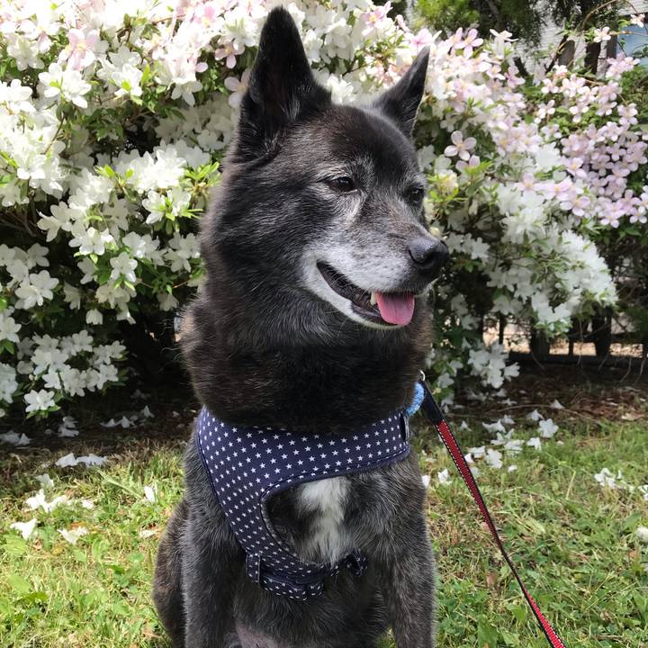 B43098ab 872c 4529 b263 aa35f56fd199 1560691336034