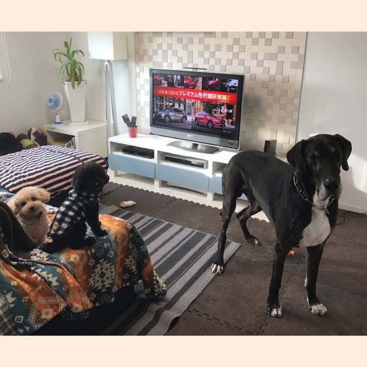 B430ed6f 1e34 43ef ace7 3e6aa1179f59 1541112347905