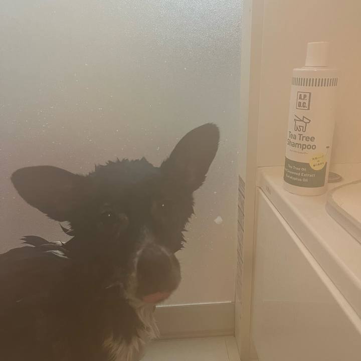 B4313599 60d7 424a 8da7 5f7fe4bb8380 1706529234935