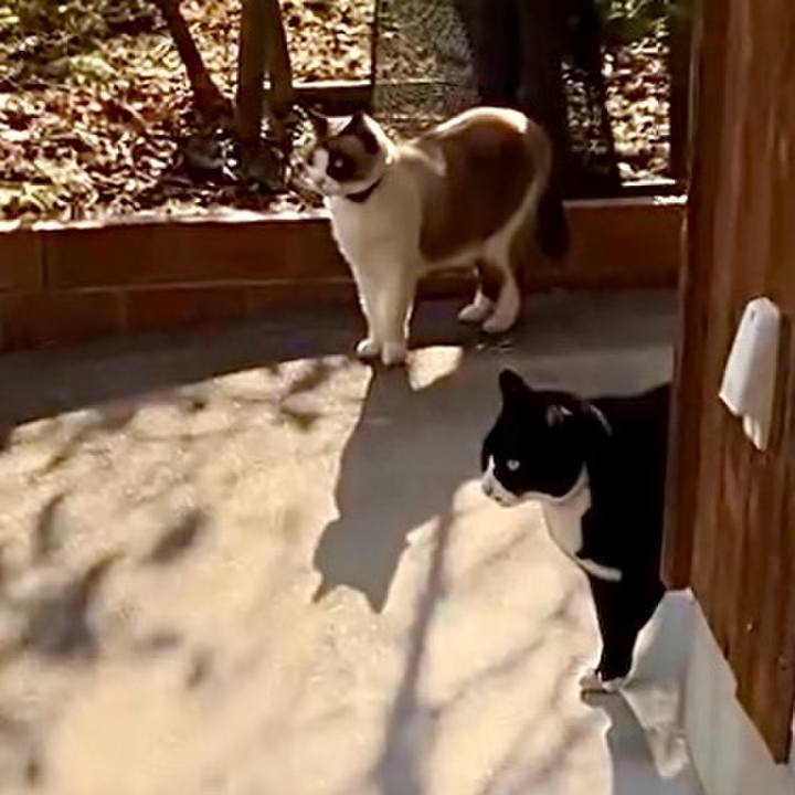 B4313b57 6144 4732 9ad6 a5afce88a4e8 1736683224265