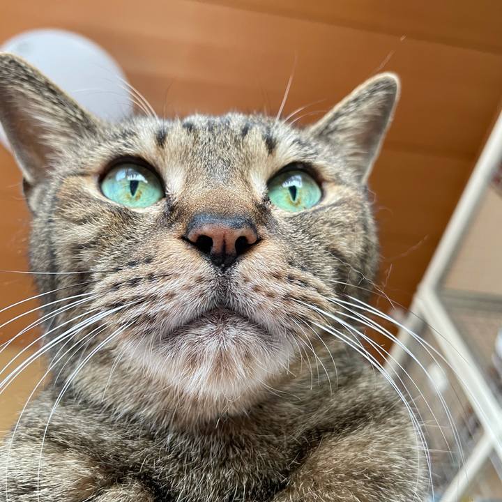 B4315f68 ad60 4c77 8d76 27bb0e020bac 1620437639666