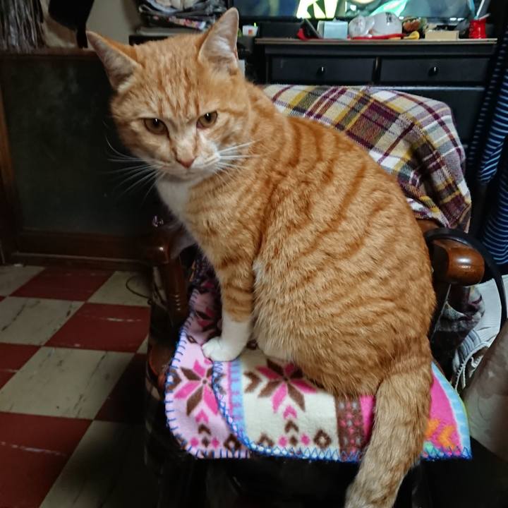 B43191e4 5aa0 4cb8 83eb e0d5c98d0de5 1578731590024