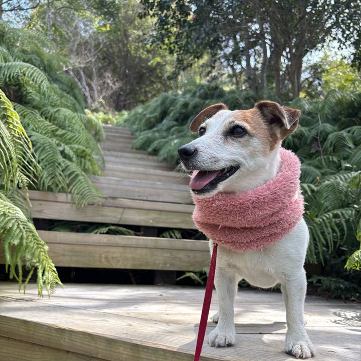 B4321e97 dde1 4e9d b4d3 511bb00f0e6c 1774268832822