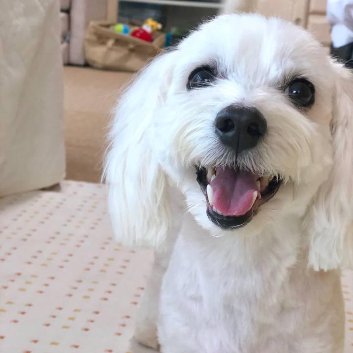 B432364a 1264 47d1 8d75 d5e1ffde5fbc 1564572709184