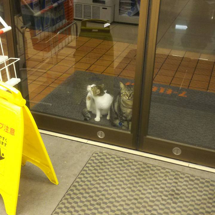 B432477f 21c9 433a a317 e302240c1e0e 1540526019726