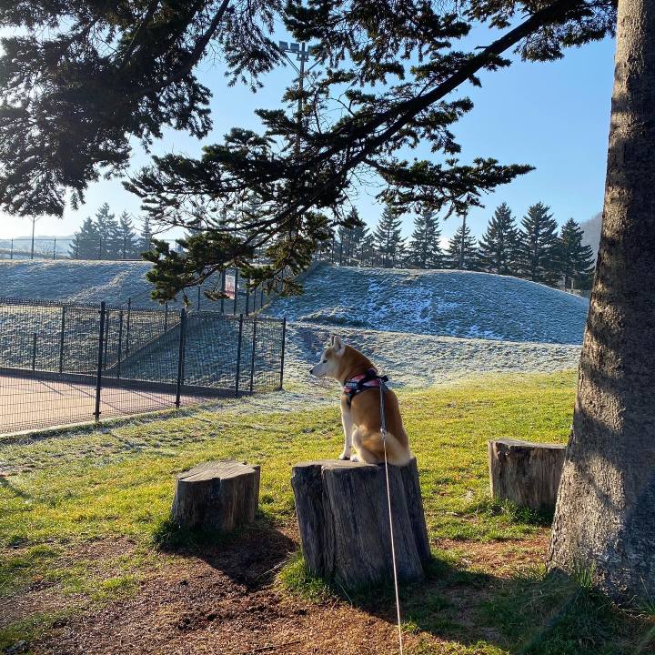 B43277d1 8b82 47b7 bb2a 9c6a4343073b 1701855649502