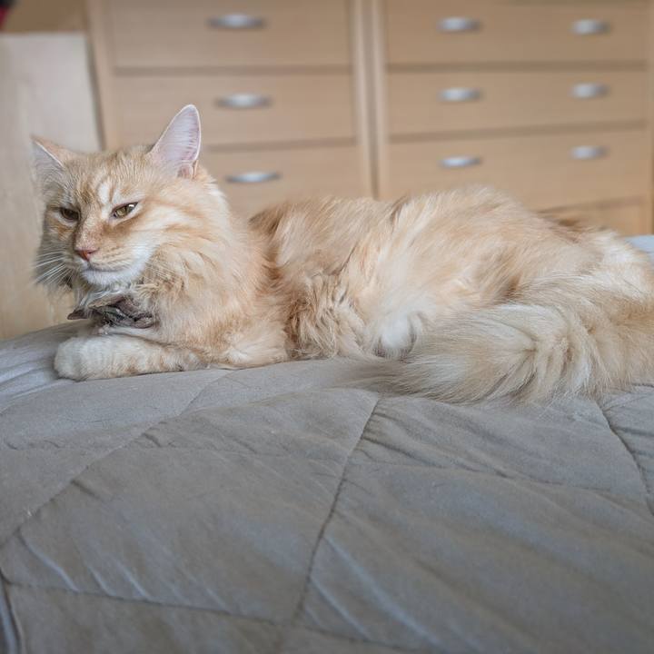 B43284c5 de4e 4ab3 9a76 11cafe369bf0 1726281574753