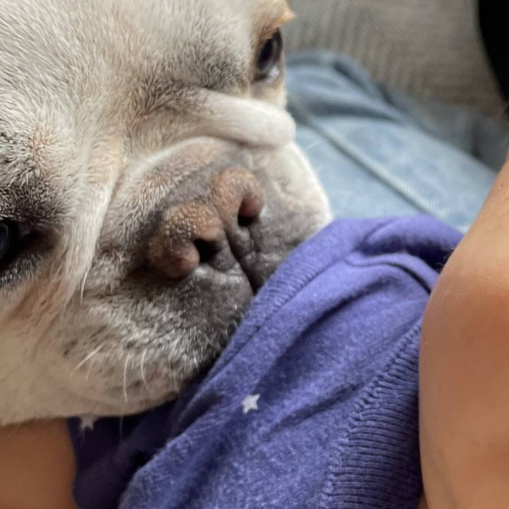 B4329096 cdf8 4326 94f7 d53cc0621b3a 1749027185392