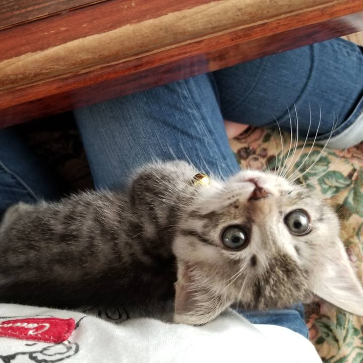 B432bbc5 0150 476e 8874 7efa3bebed88 1661351647809