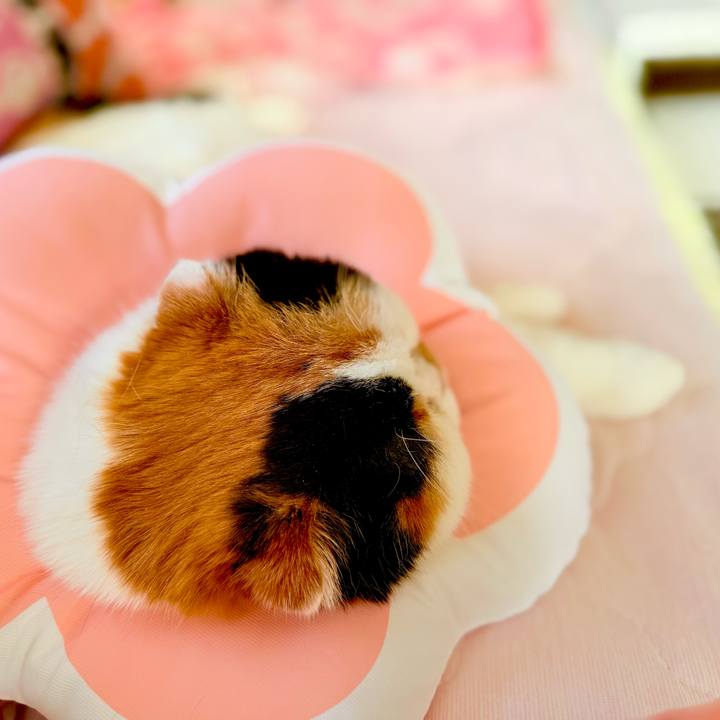 B432be02 3e0d 451f ba73 a9313fde47ea 1738891845761