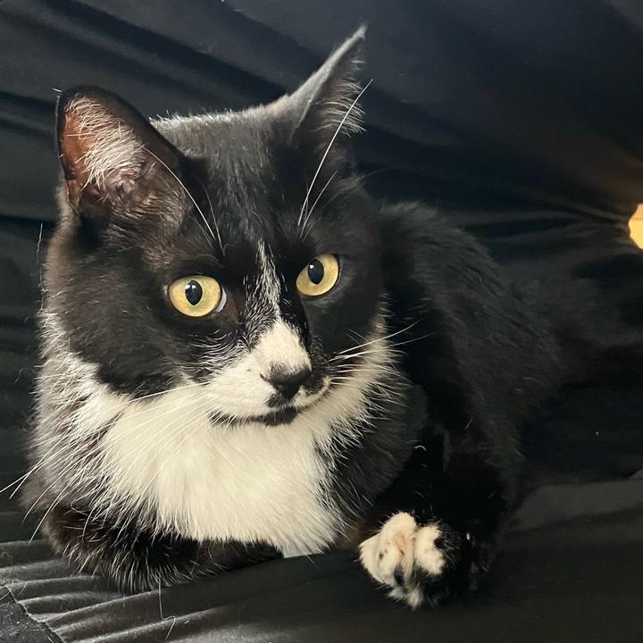 B432cced b210 40c2 8d76 fe8b3b33f061 1691032351525