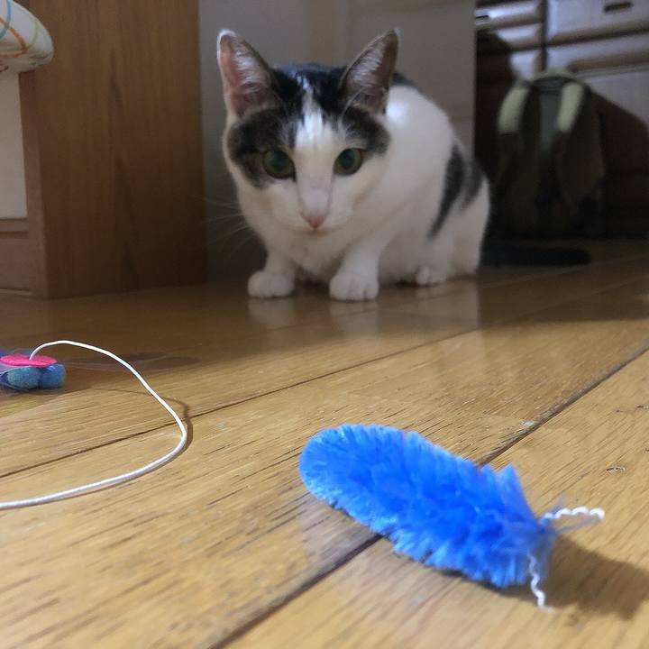 B432d5ad 2d8d 4b83 842b f71b261ba234 1691854001336