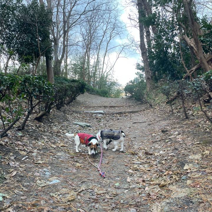 B4330638 adc3 477c 9d29 2881f8ce488e 1734995864846