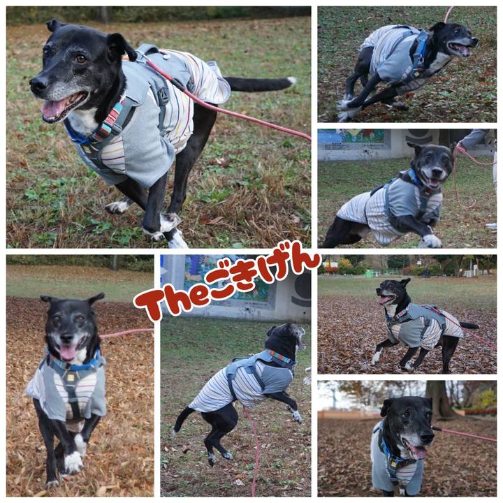 B43359a5 f4d7 42cc 8ce3 85962eec22d4 1764205983645