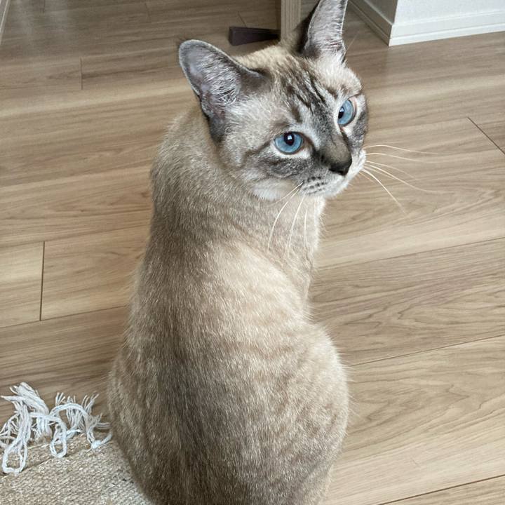 B4336894 9896 4253 b300 8326344ec112 1659914788566