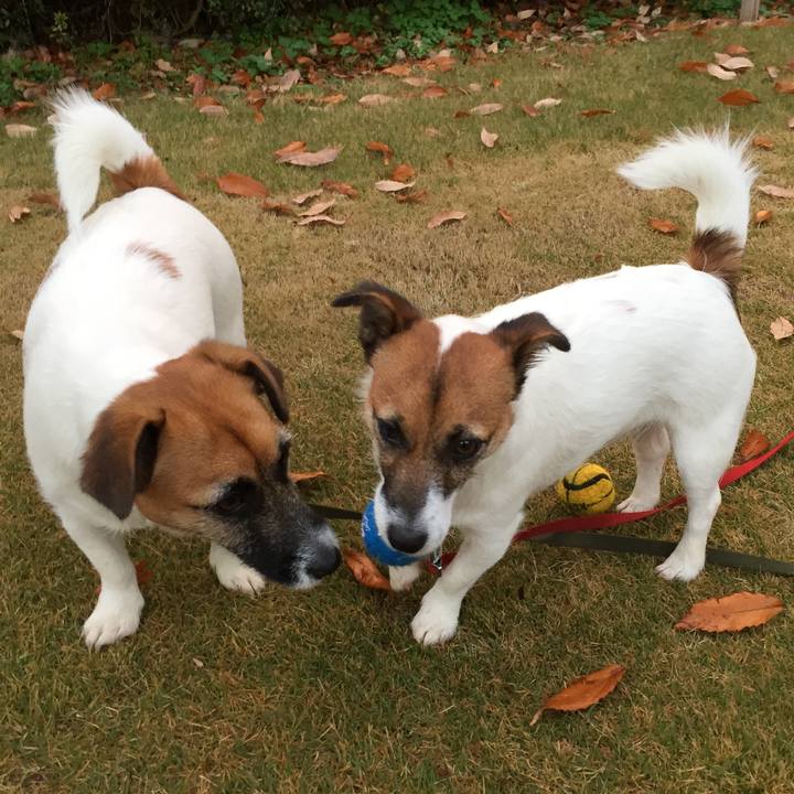 B4336c63 8d41 4023 bbd1 6903c25b089c 1512463971747