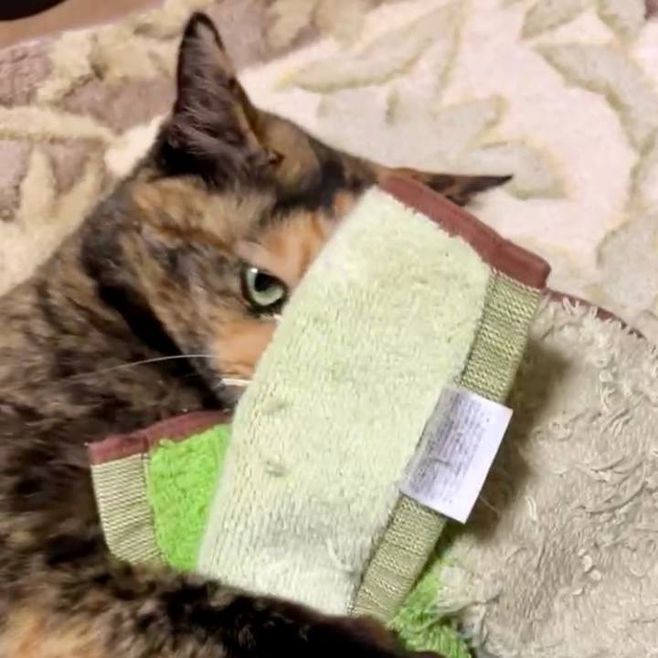 B4336cc7 f54a 4827 af5d e835d2b7f045 1730921783290