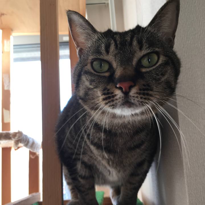 B4337f08 6d12 4b5a 94fe b9d25626a8d3 1583554928855