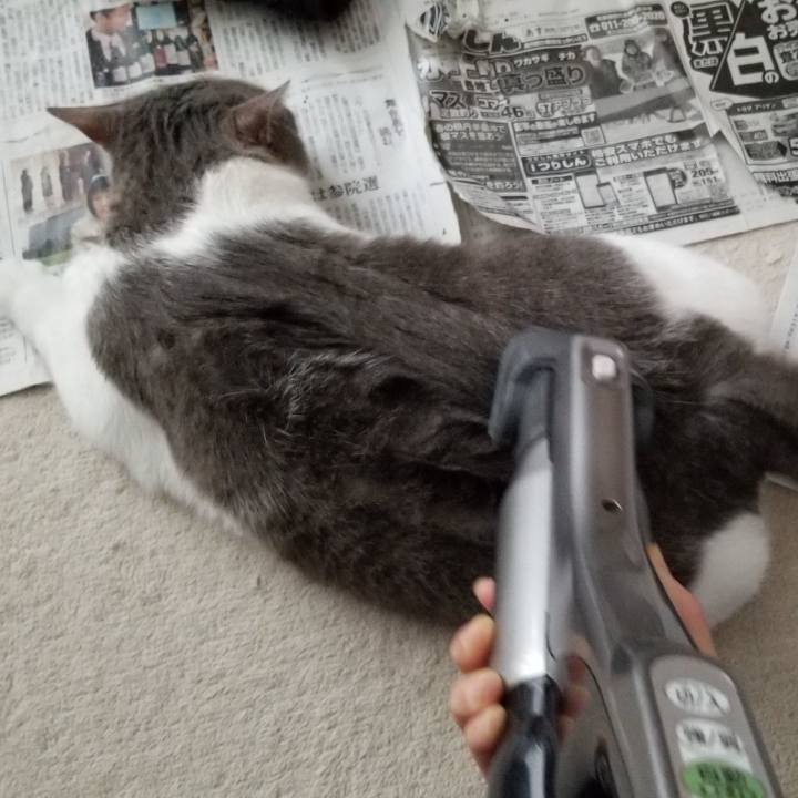 B433984b 7e26 4454 88c6 b89b00f4dc05 1550291168919