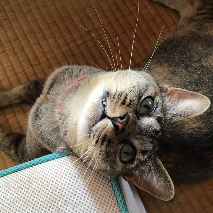 B433e30b c289 4e78 96e7 1c76789bb278 1596686402898