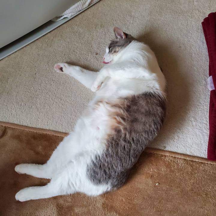 B433f479 61af 45ff a024 578d0fea7fb9 1713518126431