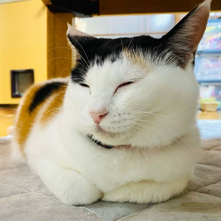 B434173c 85a7 46e0 ae4a 1f0c0906903a 1697027711651