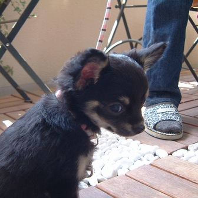 B43422bd a8f1 4aee 85e7 22b2b621fd4b 1540516040718