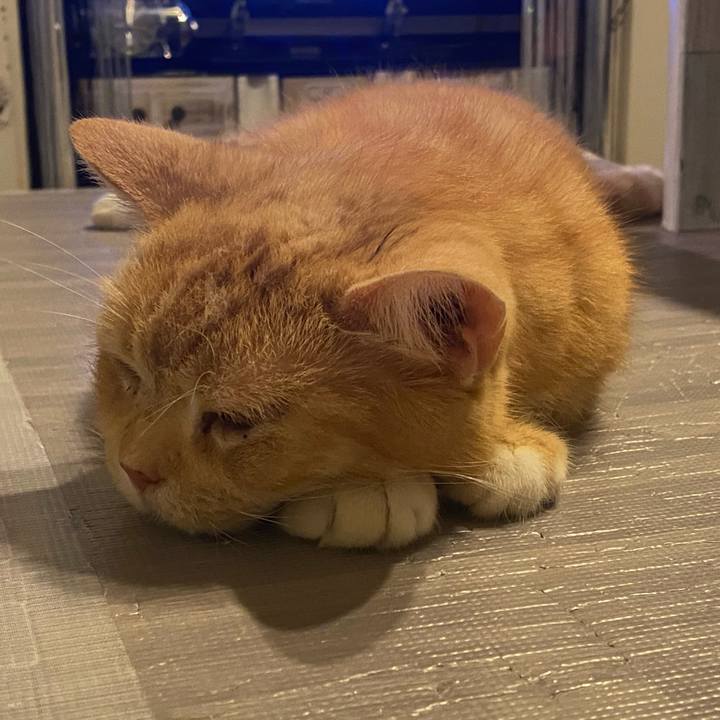 B4342936 da56 4cbe b4e3 cf74922fd8a8 1624624651678