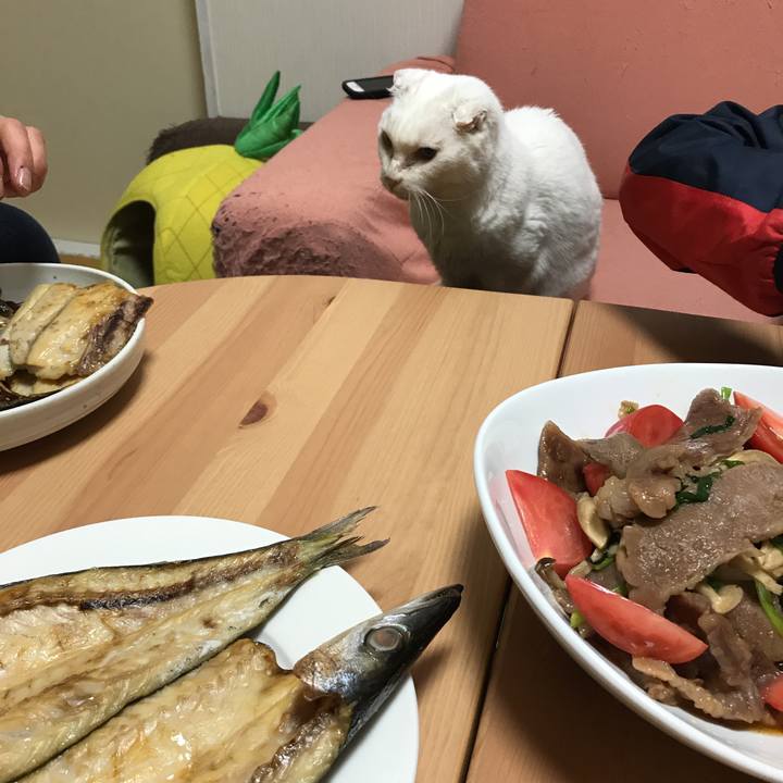 B434295c a1cd 4480 b0e9 2cd799a21722 1519208988503