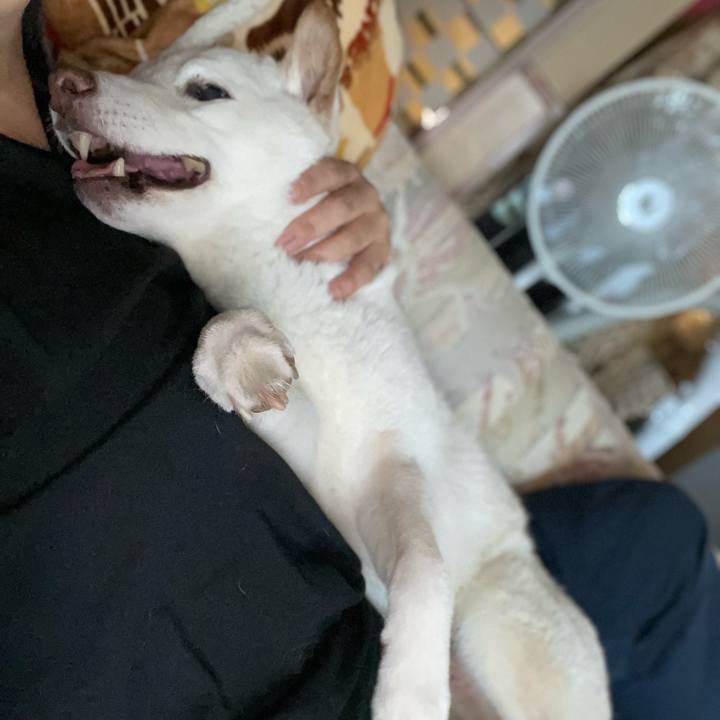 B4348263 ceb1 4928 a8da 0fe6012c5246 1650538062329