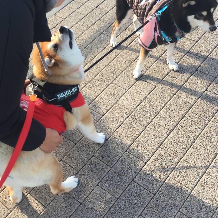 B434b0cf 10bc 4872 80e2 80bec42290d9 1575193441812